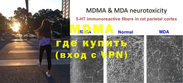 шишки Балахна