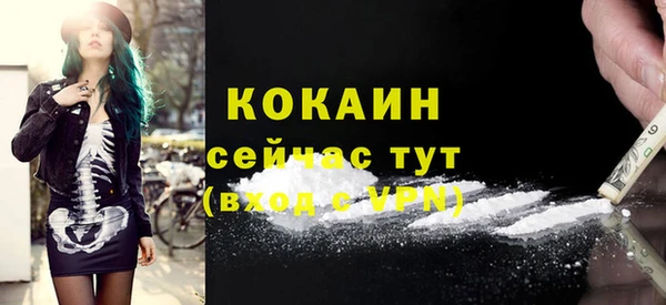 шишки Балахна