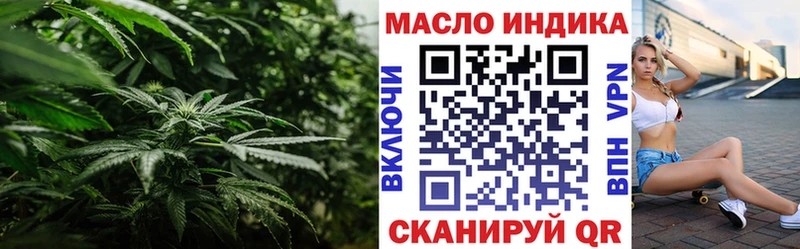 mega онион  Чкаловск  Дистиллят ТГК вейп с тгк  купить закладку 